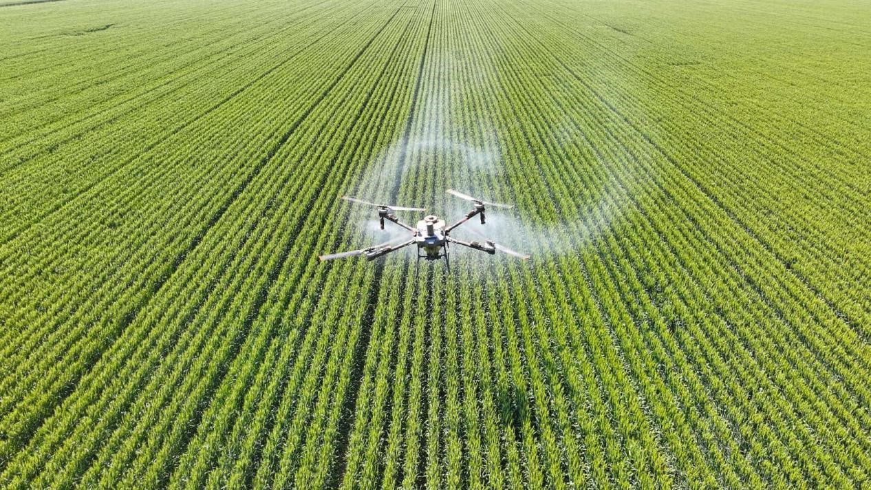 Technology transforms farming across China’s fields