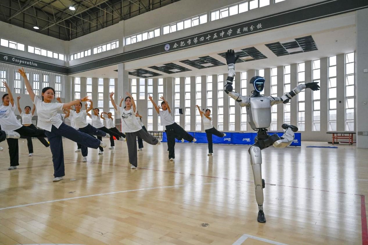 Why are Chinese robots both affordable and highly capable?