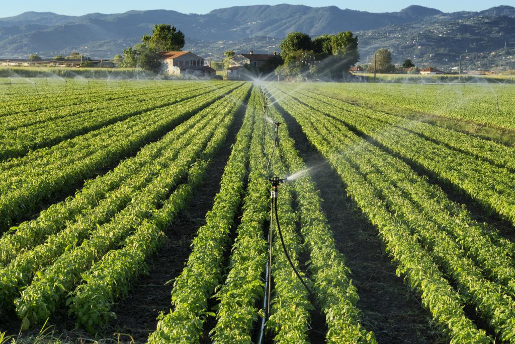 KP plans irrigation project for 10,930 acres of agricultural land KP plans irrigation project for 10,930 acres of agricultural land