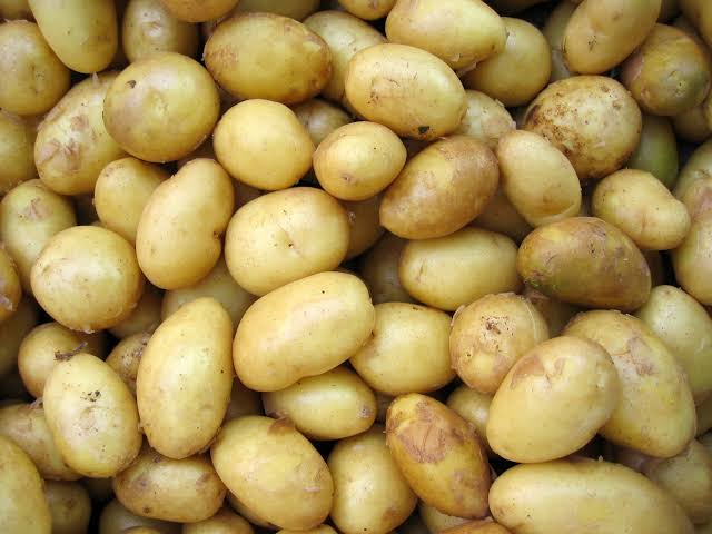 Pakistan develops four potato varieties for fries, chips industry