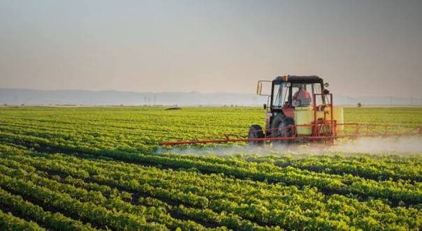 Punjab rolls out Rs60bn agro parks to boost exports