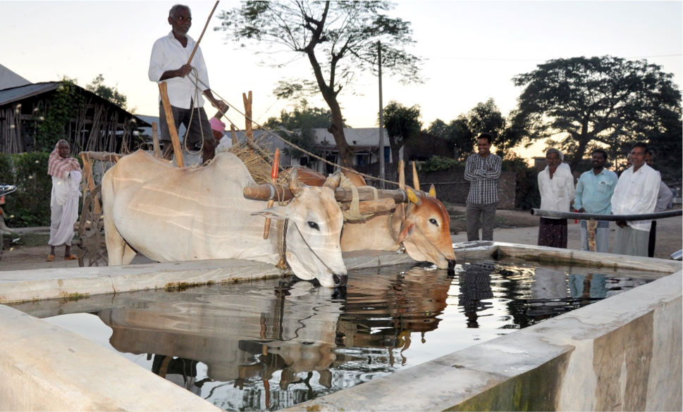 Sindh, KP projects expand access to rainwater for people and livestock