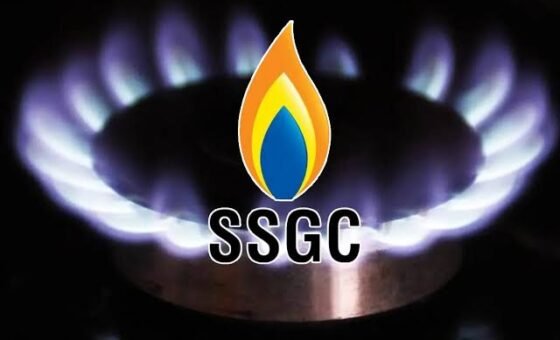 261 Sindh villages earmarked for gas supply under SSGC’s 2029 plan