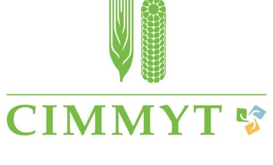 CIMMYT equips Pakistani research institutes to strengthen wheat research