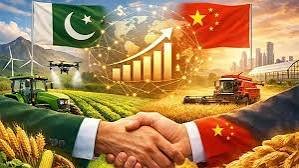 Pakistan and China deepen cooperation to boost agricultural research and innovation