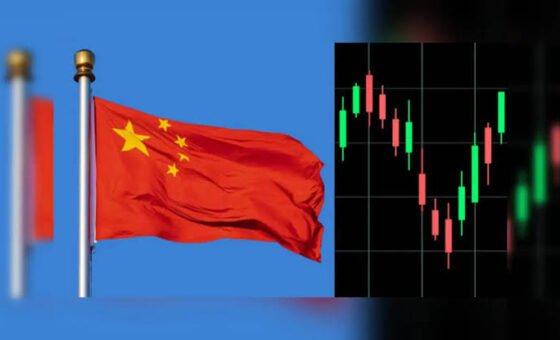 Rising long-term investor holdings support growth in China’s equity market