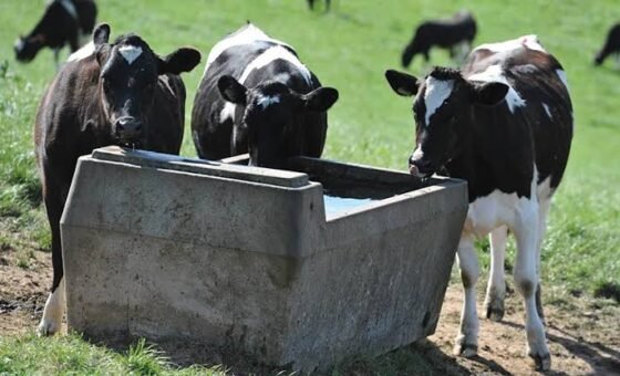 Saudi support to bring 30 livestock ponds and 40 water tanks to Balochistan