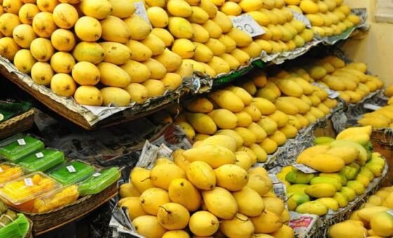 Pakistani mangoes gain global reach as exports total $107m in 49 countries