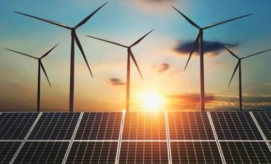 COP31 paves way for turning climate plans into investment-ready projects