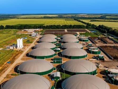 Sindh prepares $30 million investment in biogas projects across five cities